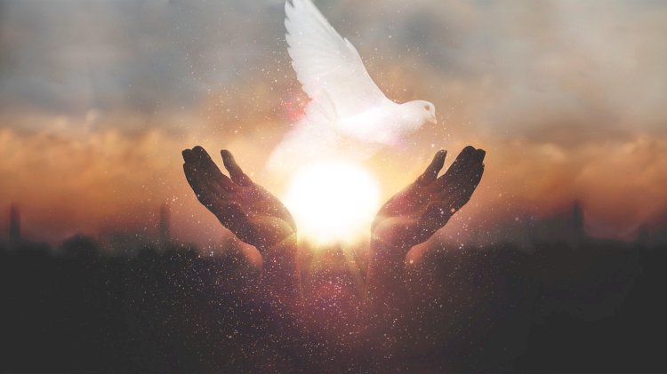 Resurrected Temple Weekly | Week of June 8, 2026 Rising Stronger